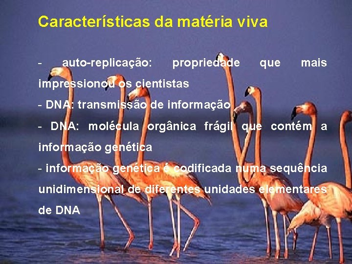 Características da matéria viva - auto-replicação: propriedade que mais impressionou os cientistas - DNA: