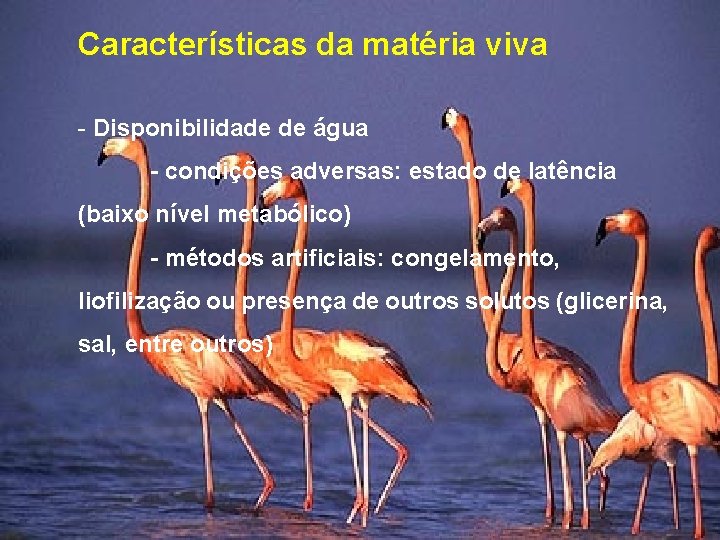 Características da matéria viva - Disponibilidade de água - condições adversas: estado de latência