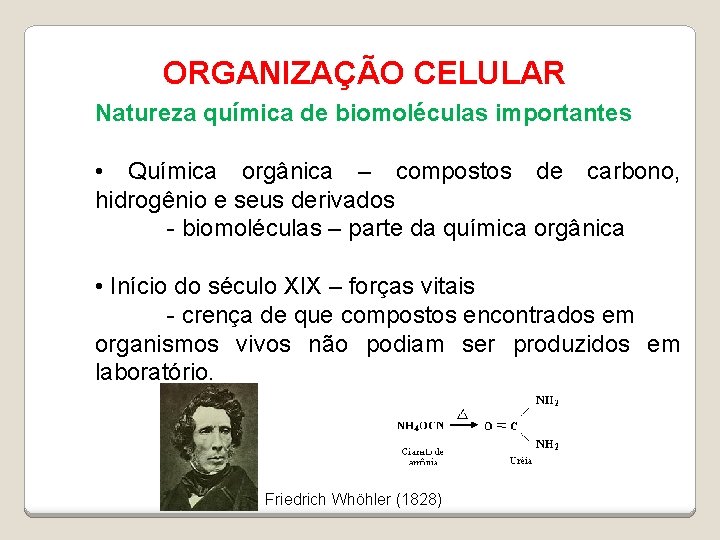 ORGANIZAÇÃO CELULAR Natureza química de biomoléculas importantes • Química orgânica – compostos de carbono,