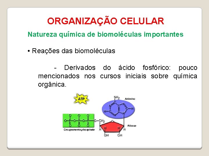ORGANIZAÇÃO CELULAR Natureza química de biomoléculas importantes • Reações das biomoléculas - Derivados do