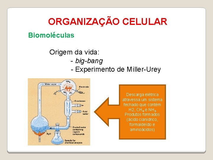 ORGANIZAÇÃO CELULAR Biomoléculas Origem da vida: - big-bang - Experimento de Miller-Urey Descarga elétrica