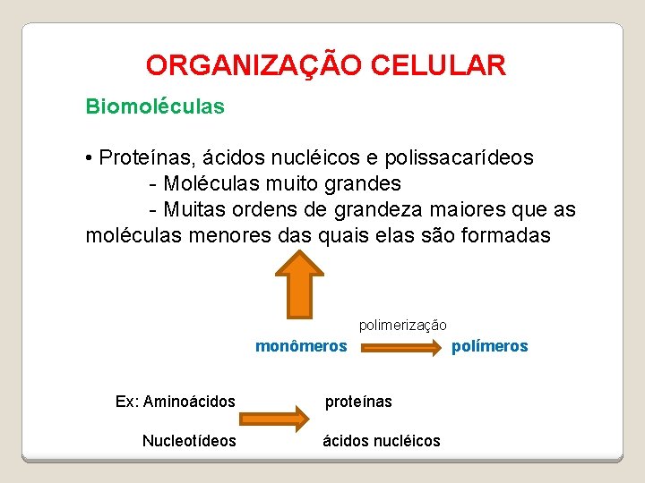 ORGANIZAÇÃO CELULAR Biomoléculas • Proteínas, ácidos nucléicos e polissacarídeos - Moléculas muito grandes -