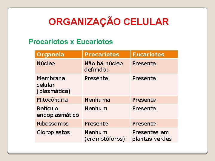 ORGANIZAÇÃO CELULAR Procariotos x Eucariotos Organela Procariotos Eucariotos Núcleo Não há núcleo definido; Presente