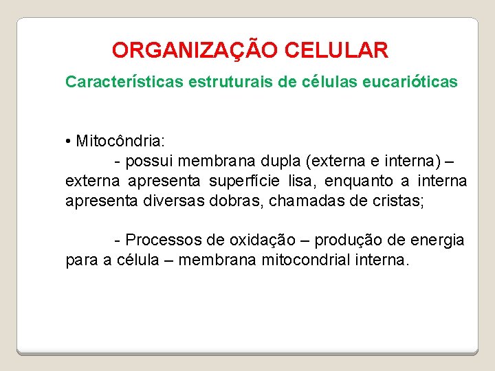 ORGANIZAÇÃO CELULAR Características estruturais de células eucarióticas • Mitocôndria: - possui membrana dupla (externa