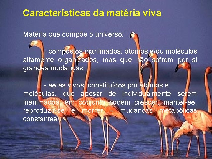 Características da matéria viva Matéria que compõe o universo: - compostos inanimados: átomos e/ou
