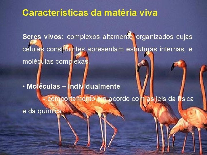 Características da matéria viva Seres vivos: complexos altamente organizados cujas células constituintes apresentam estruturas