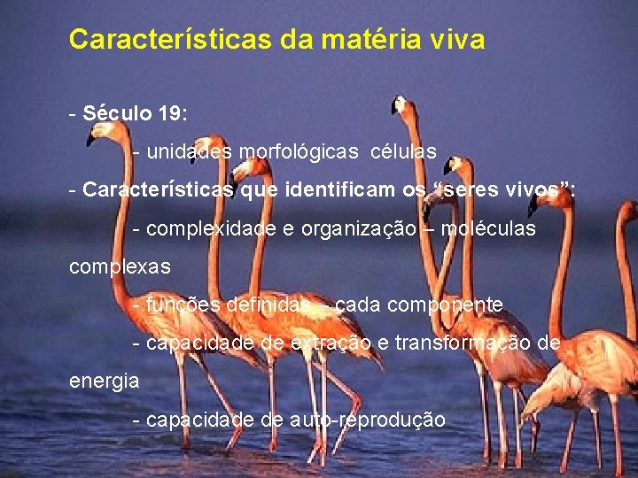 Características da matéria viva - Século 19: - unidades morfológicas células - Características que