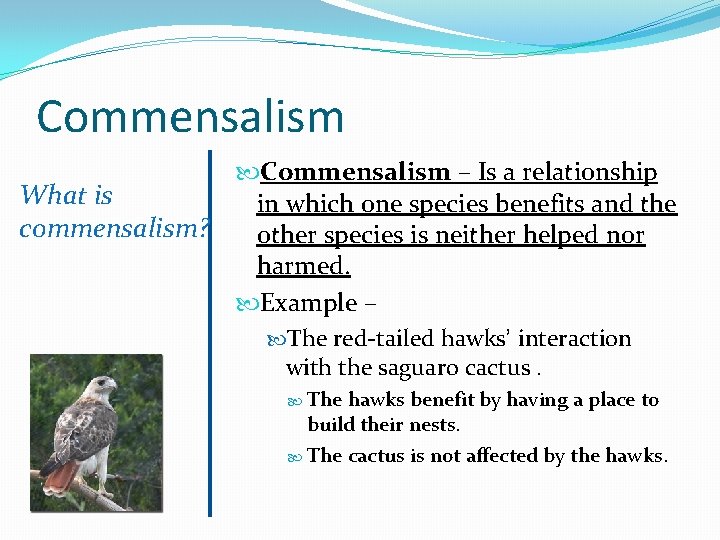 Commensalism – Is a relationship What is in which one species benefits and the
