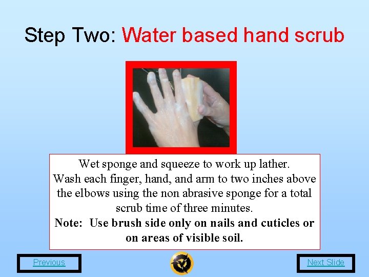 Step Two: Water based hand scrub Wet sponge and squeeze to work up lather.