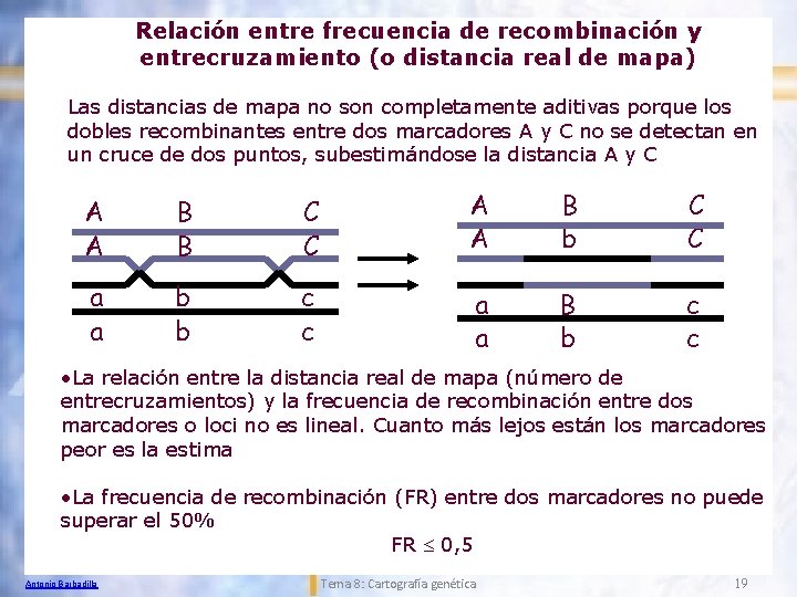 Relación entre frecuencia de recombinación y entrecruzamiento (o distancia real de mapa) Las distancias