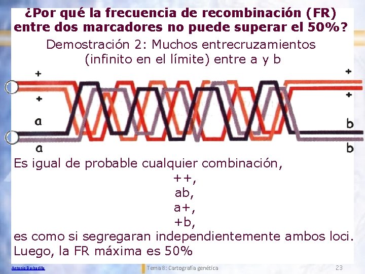 ¿Por qué la frecuencia de recombinación (FR) entre dos marcadores no puede superar el