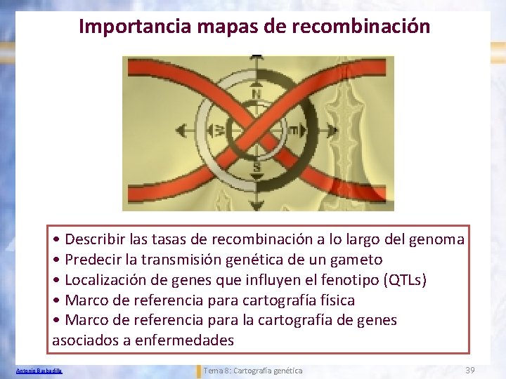 Importancia mapas de recombinación • Describir las tasas de recombinación a lo largo del