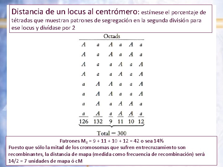 Distancia de un locus al centrómero: estímese el porcentaje de tétradas que muestran patrones