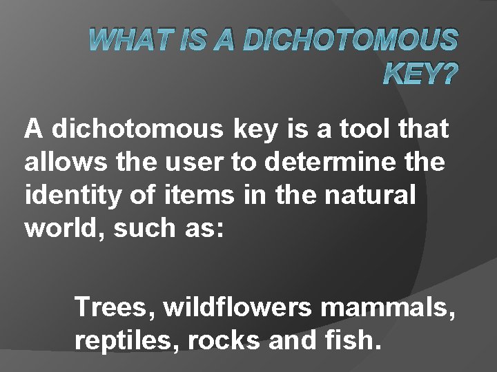 WHAT IS A DICHOTOMOUS KEY? A dichotomous key is a tool that allows the