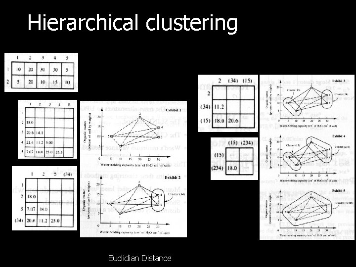 Hierarchical clustering Euclidian Distance 
