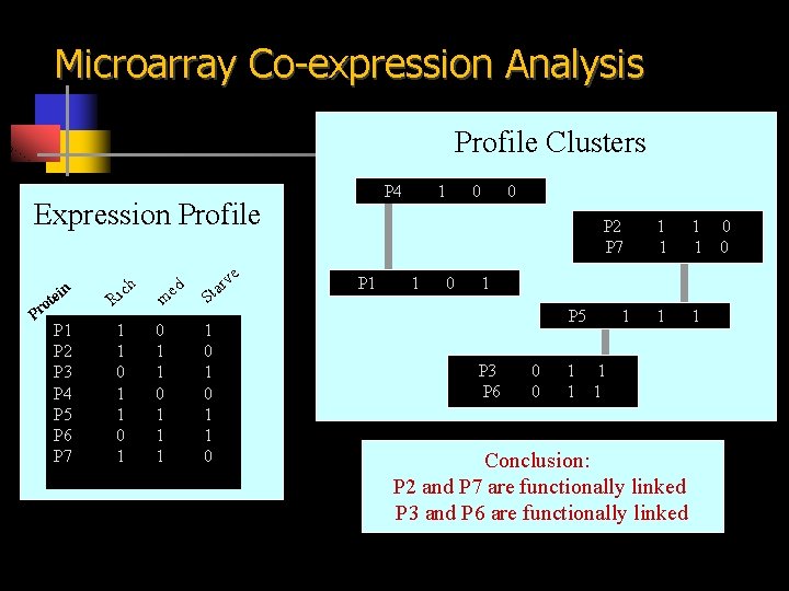 Microarray Co-expression Analysis Profile Clusters P 4 Expression Profile P 1 P 2 P