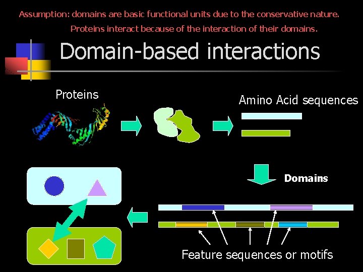 Assumption: domains are basic functional units due to the conservative nature. Proteins interact because