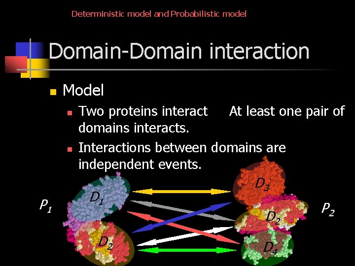 Deterministic model and Probabilistic model Domain-Domain interaction n Model n n P 1 Two