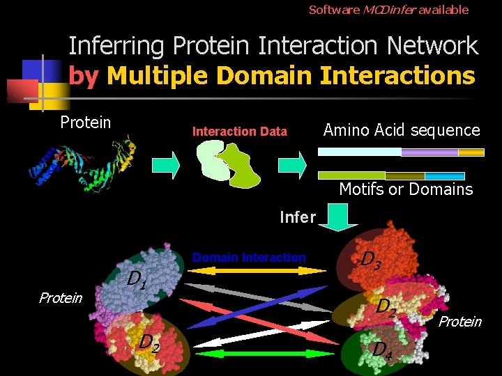 Software MCDinfer available Inferring Protein Interaction Network by Multiple Domain Interactions Protein Interaction Data