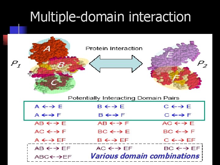 Multiple-domain interaction Various domain combinations 