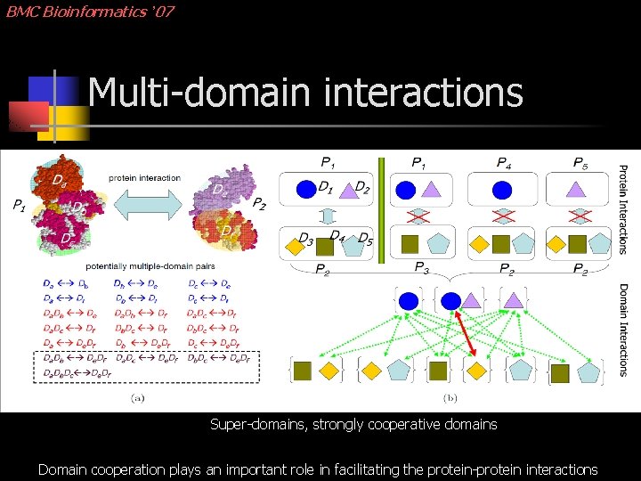 BMC Bioinformatics ’ 07 Multi-domain interactions Super-domains, strongly cooperative domains Domain cooperation plays an
