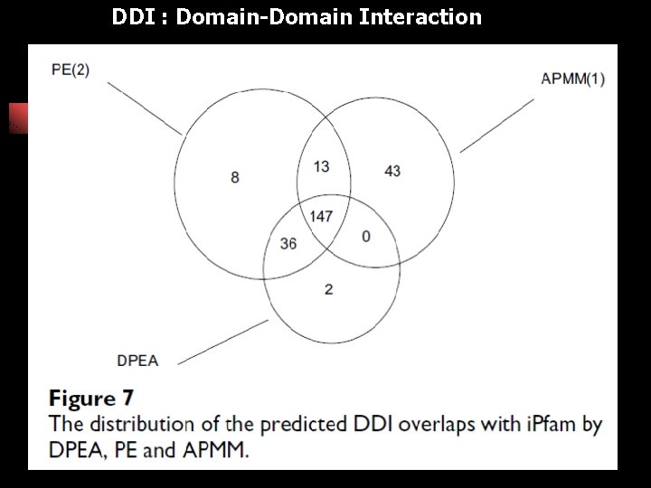 DDI : Domain-Domain Interaction 