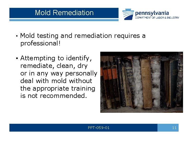 Mold Remediation • Mold testing and remediation requires a professional! • Attempting to identify,