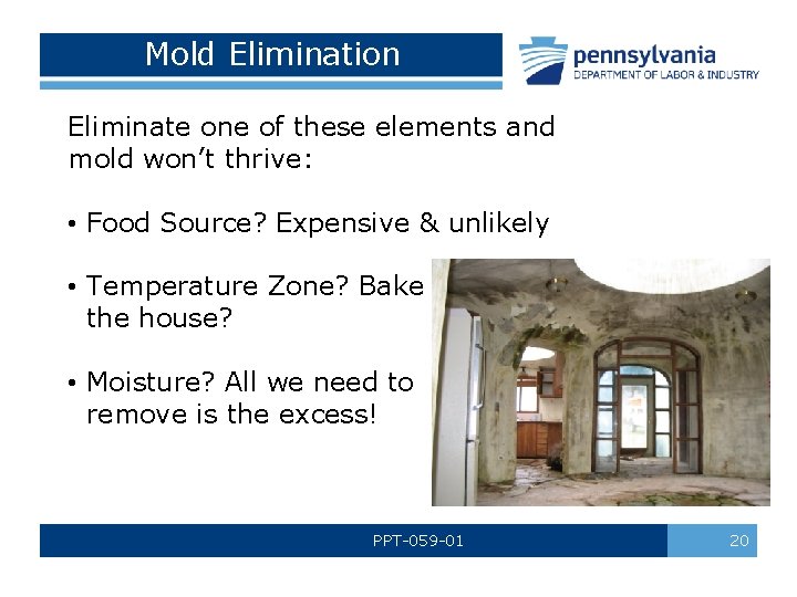 Mold Elimination Eliminate one of these elements and mold won’t thrive: • Food Source?