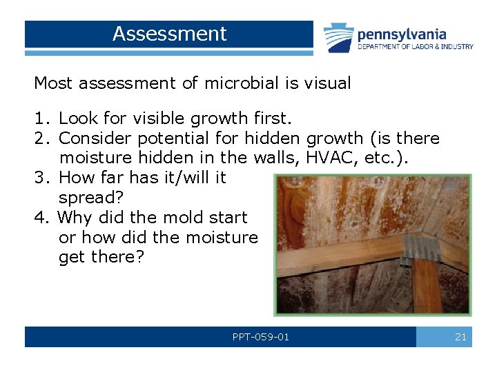 Assessment Most assessment of microbial is visual 1. Look for visible growth first. 2.