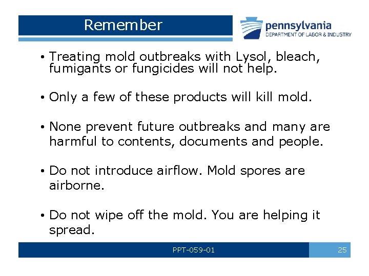 Remember • Treating mold outbreaks with Lysol, bleach, fumigants or fungicides will not help.