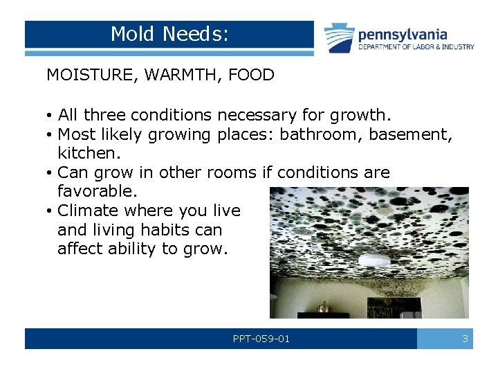 Mold Needs: MOISTURE, WARMTH, FOOD • All three conditions necessary for growth. • Most
