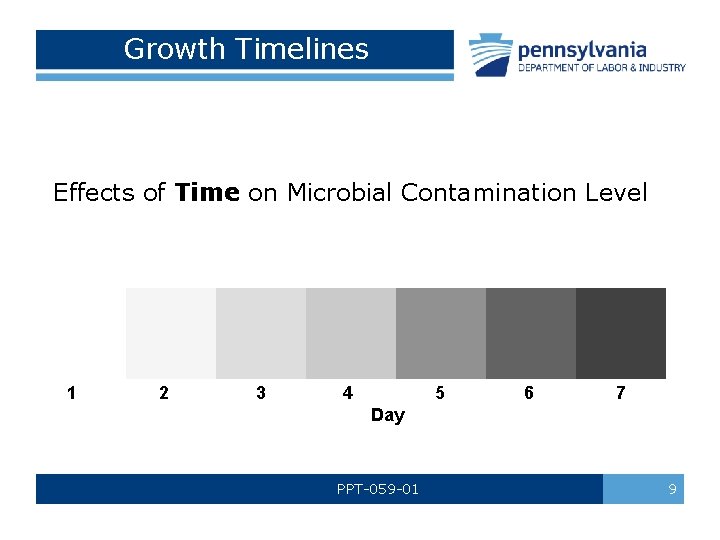 Growth Timelines Effects of Time on Microbial Contamination Level 1 2 3 4 5