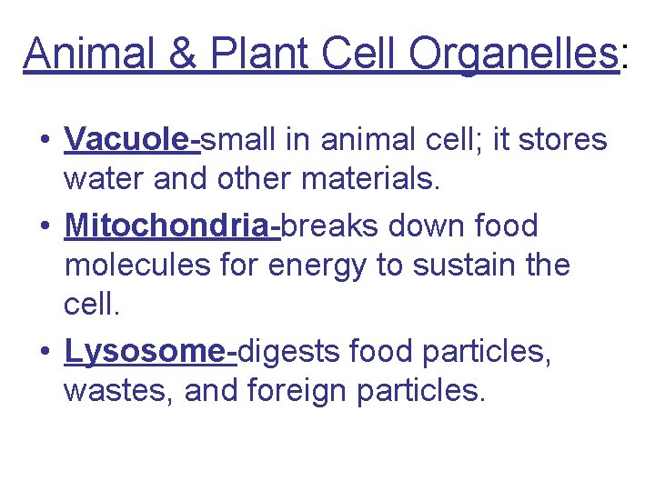 Animal & Plant Cell Organelles: • Vacuole-small in animal cell; it stores water and