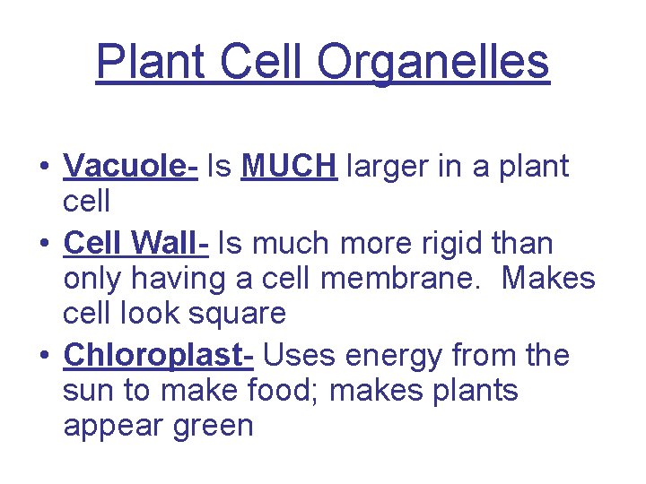 Plant Cell Organelles • Vacuole- Is MUCH larger in a plant cell • Cell