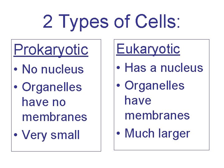 2 Types of Cells: Prokaryotic Eukaryotic • No nucleus • Organelles have no membranes