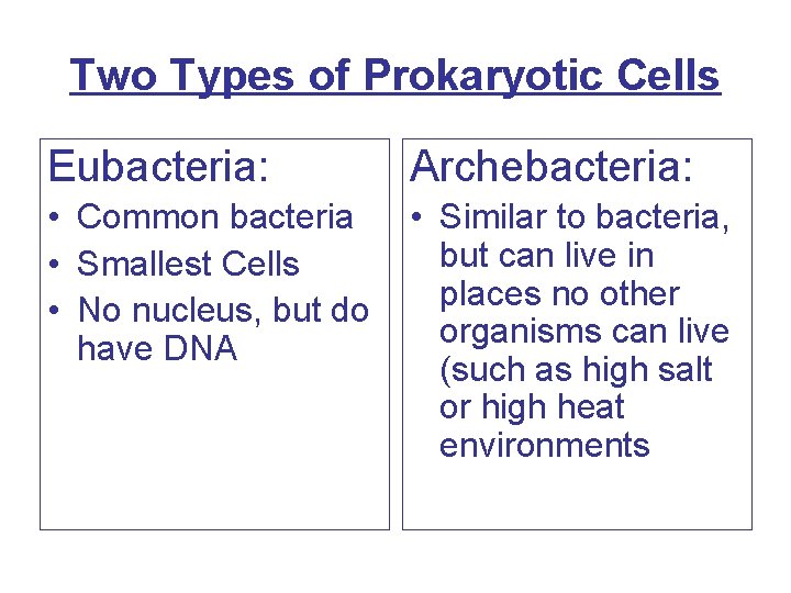Two Types of Prokaryotic Cells Eubacteria: Archebacteria: • Common bacteria • Smallest Cells •