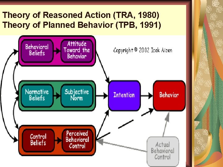 Theory of Reasoned Action (TRA, 1980) Theory of Planned Behavior (TPB, 1991) SITI ROHAIDA