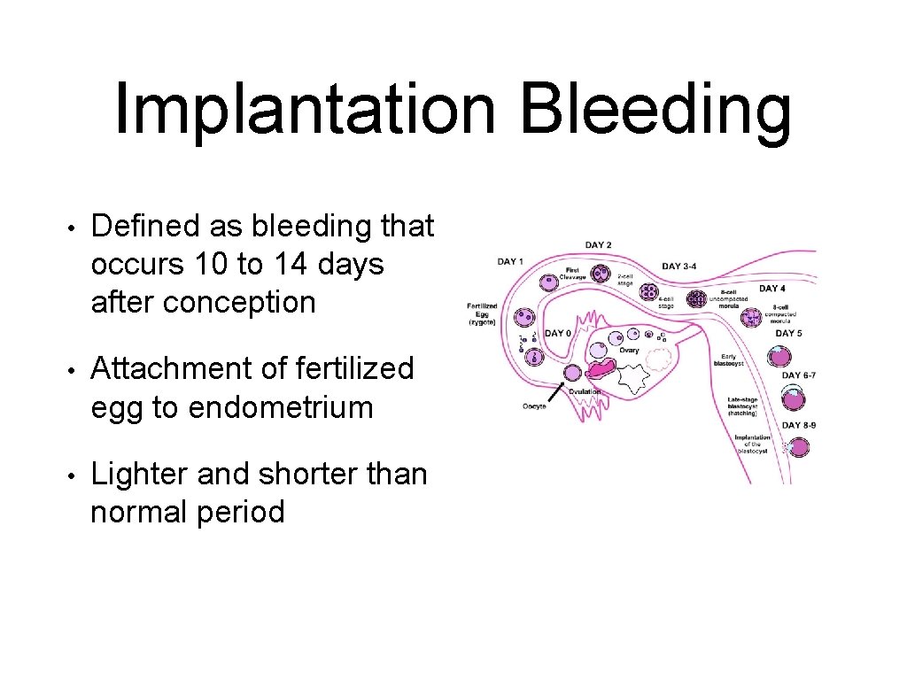 Implantation Bleeding • Defined as bleeding that occurs 10 to 14 days after conception