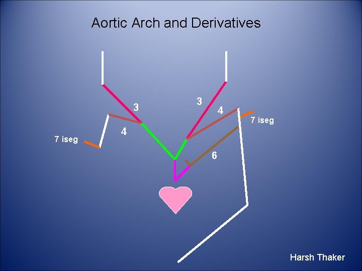 Aortic Arch and Derivatives 3 7 iseg 3 4 7 iseg 4 6 Harsh
