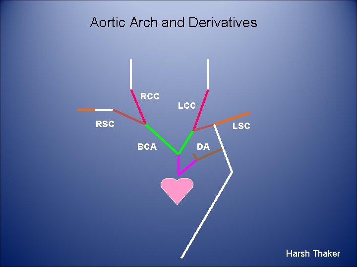 Aortic Arch and Derivatives RCC LCC RSC LSC BCA DA Harsh Thaker 