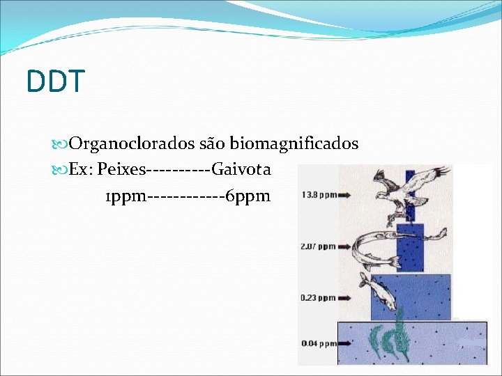 DDT Organoclorados são biomagnificados Ex: Peixes-----Gaivota 1 ppm------6 ppm 