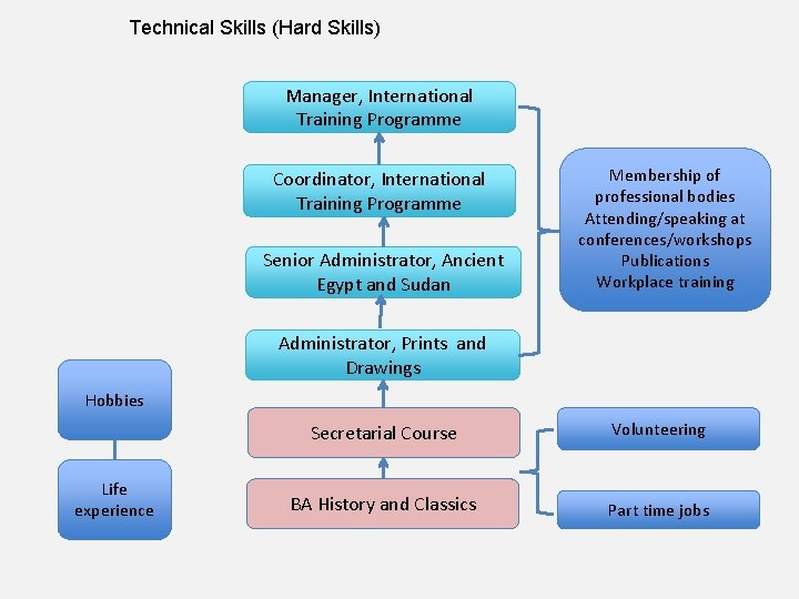 Technical Skills (Hard Skills) Manager, International Training Programme Coordinator, International Training Programme Senior Administrator,