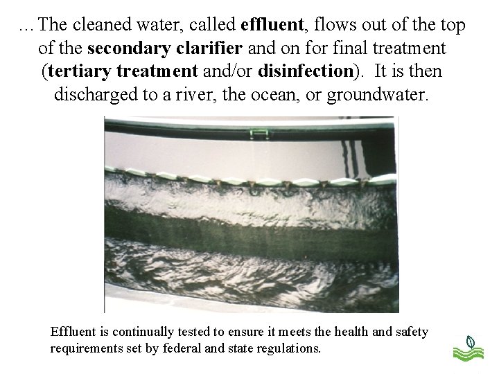 …The cleaned water, called effluent, flows out of the top of the secondary clarifier