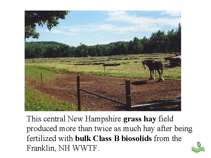 This central New Hampshire grass hay field produced more than twice as much hay