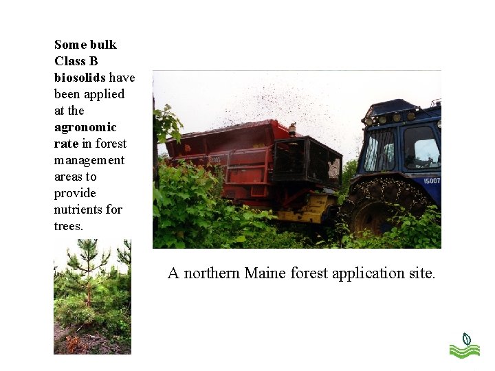Some bulk Class B biosolids have been applied at the agronomic rate in forest
