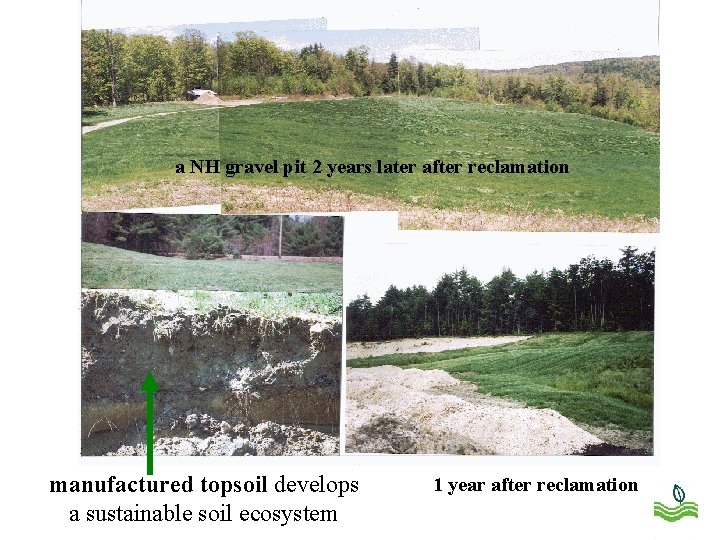 a NH gravel pit 2 years later after reclamation manufactured topsoil develops a sustainable