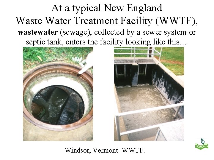 At a typical New England Waste Water Treatment Facility (WWTF), wastewater (sewage), collected by