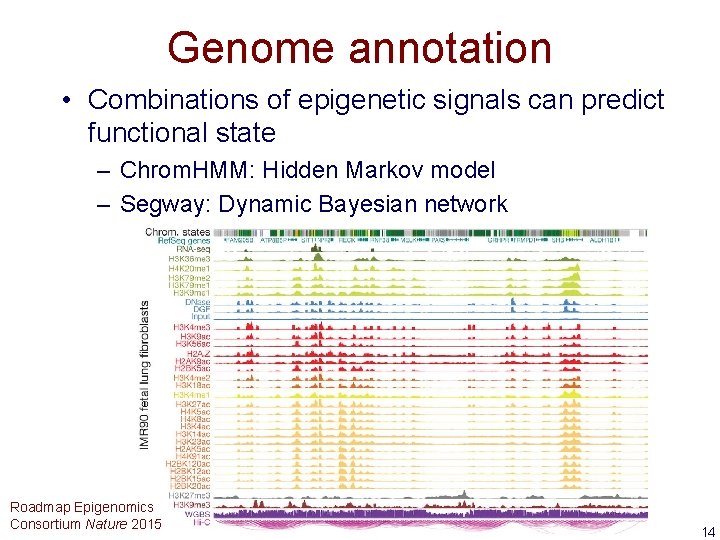 Genome annotation • Combinations of epigenetic signals can predict functional state – Chrom. HMM: