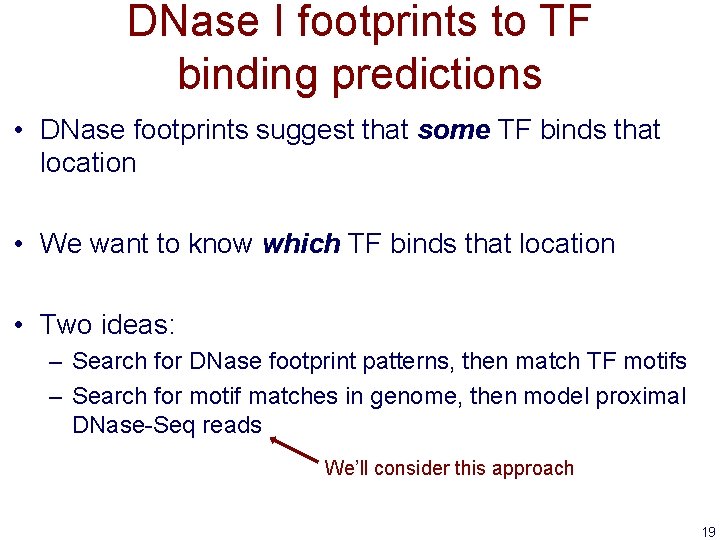 DNase I footprints to TF binding predictions • DNase footprints suggest that some TF