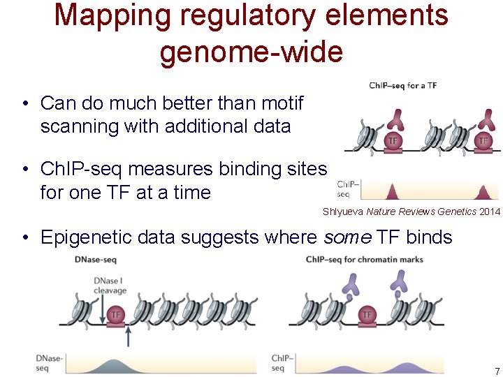 Mapping regulatory elements genome-wide • Can do much better than motif scanning with additional